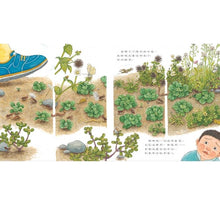 Load image into Gallery viewer, 我種了高麗菜