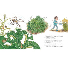 Load image into Gallery viewer, 我種了高麗菜