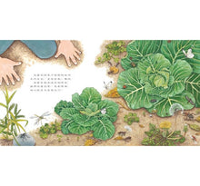 Load image into Gallery viewer, 我種了高麗菜
