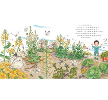 Load image into Gallery viewer, 我種了高麗菜