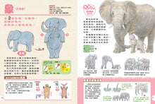 Load image into Gallery viewer, 動物媽媽的乳房:動物比較圖鑑