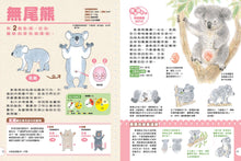 Load image into Gallery viewer, 動物媽媽的乳房:動物比較圖鑑