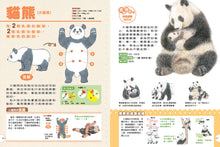 Load image into Gallery viewer, 動物媽媽的乳房:動物比較圖鑑