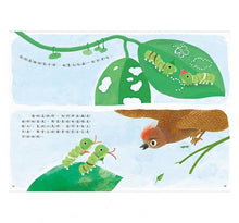 Load image into Gallery viewer, 吃一片雲:好想快快長大的毛毛蟲