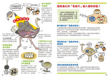 Load image into Gallery viewer, 長知識!世界動物趣味圖解全紀錄