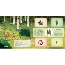 Load image into Gallery viewer, 動物小知識翻翻書:這是誰的腳印?
