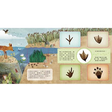 Load image into Gallery viewer, 動物小知識翻翻書:這是誰的腳印?