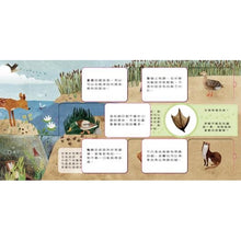 Load image into Gallery viewer, 動物小知識翻翻書:這是誰的腳印?