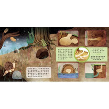 Load image into Gallery viewer, 動物小知識翻翻書:這是誰的家?