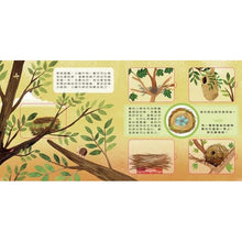 Load image into Gallery viewer, 動物小知識翻翻書:這是誰的家?