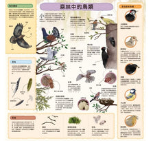 Load image into Gallery viewer, 童話知識小百科翻翻書:小紅帽 x 韓賽爾 x 白雪公主 x 小美人魚