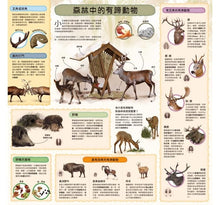 Load image into Gallery viewer, 童話知識小百科翻翻書:小紅帽 x 韓賽爾 x 白雪公主 x 小美人魚