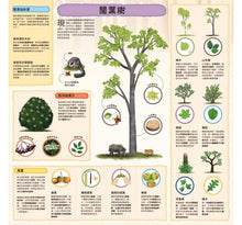 Load image into Gallery viewer, 童話知識小百科翻翻書:小紅帽 x 韓賽爾 x 白雪公主 x 小美人魚