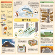 Load image into Gallery viewer, 童話知識小百科翻翻書:小紅帽 x 韓賽爾 x 白雪公主 x 小美人魚