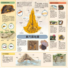 Load image into Gallery viewer, 童話知識小百科翻翻書:小紅帽 x 韓賽爾 x 白雪公主 x 小美人魚