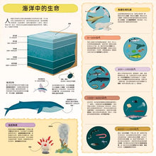 Load image into Gallery viewer, 童話知識小百科翻翻書:小紅帽 x 韓賽爾 x 白雪公主 x 小美人魚