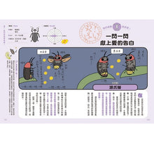 Load image into Gallery viewer, 昆蟲們の超奇葩生活圖鑑:奇葩到令人敬佩的昆蟲生存大作戰