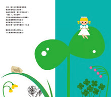 Load image into Gallery viewer, 大大公主