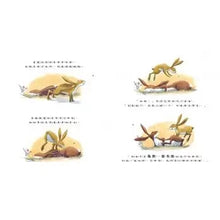 Load image into Gallery viewer, 多幸運,有哥哥陪我長大