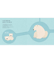 Load image into Gallery viewer, 媽媽天才不一樣!