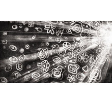 Load image into Gallery viewer, 小鉛與小擦