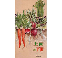 Load image into Gallery viewer, 上面和下面