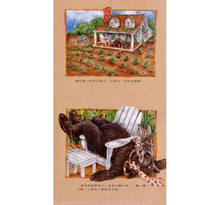 Load image into Gallery viewer, 上面和下面