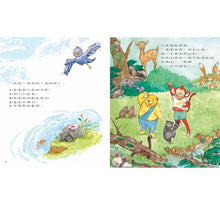 Load image into Gallery viewer, 紅盒子裡的祕密