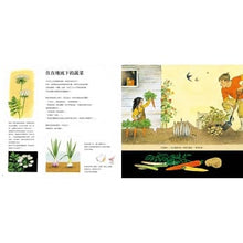 Load image into Gallery viewer, 蔬菜是怎麼長大的呀?