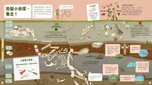 Load image into Gallery viewer, 生態小偵探系列:恐龍跟你想得不一樣?X 啥?蟲蟲竟然會這樣? X 哇!人體原來這麼酷!