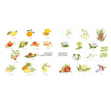 Load image into Gallery viewer, 水果是怎麼長出來的呢?