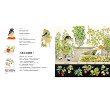 Load image into Gallery viewer, 水果是怎麼長出來的呢?