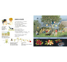 Load image into Gallery viewer, 水果是怎麼長出來的呢?