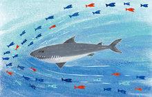 Load image into Gallery viewer, 想要大受歡迎的鯊魚