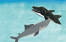 Load image into Gallery viewer, 想要大受歡迎的鯊魚