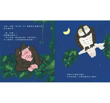 Load image into Gallery viewer, 阿摩的聰明藥