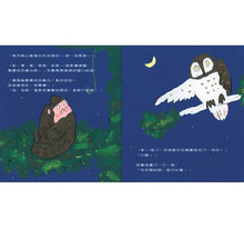 Load image into Gallery viewer, 阿摩的聰明藥