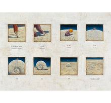 Load image into Gallery viewer, 緋紅樹