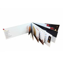 Load image into Gallery viewer, 當小偷的第一天