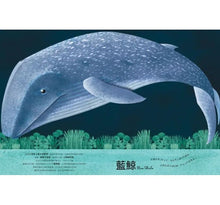 Load image into Gallery viewer, 世界上最大的動物超級大書 + 世界上最小的動物迷你小書