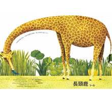 Load image into Gallery viewer, 世界上最大的動物超級大書 + 世界上最小的動物迷你小書