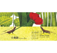 Load image into Gallery viewer, 世界上最大的動物超級大書 + 世界上最小的動物迷你小書