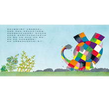 Load image into Gallery viewer, 大象艾瑪