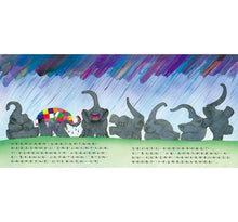 Load image into Gallery viewer, 大象艾瑪