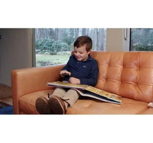 Load image into Gallery viewer, 動物狂想曲