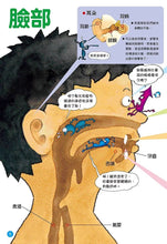 Load image into Gallery viewer, 健康大繪本:人體奧祕大探險