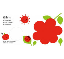 Load image into Gallery viewer, 神奇洞洞書:顏色、車子、動物