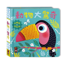 Load image into Gallery viewer, 觸摸認知書套組(全套四冊)