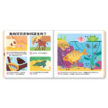 Load image into Gallery viewer, 小小孩最愛問百科書套書