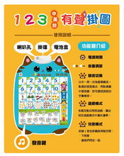 Load image into Gallery viewer, 有聲掛圖系列